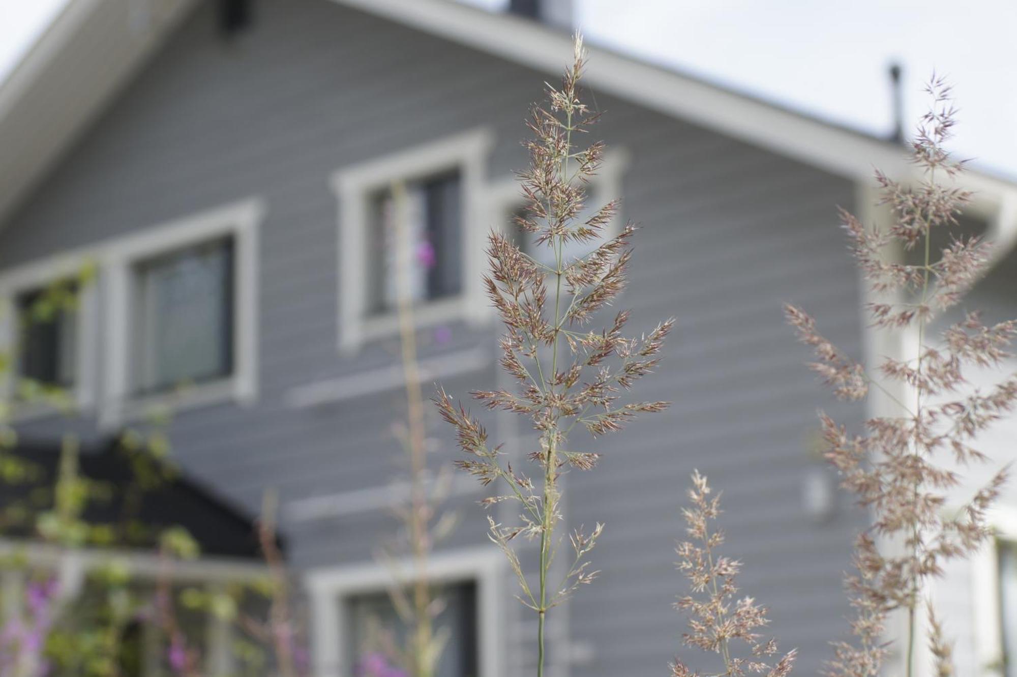 Matikkala Cottages Ruokolahti Exterior photo